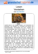 Gundi - Sachtext.pdf